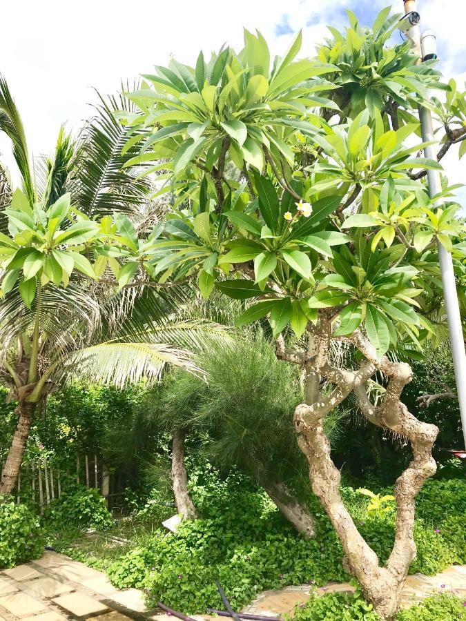 Oceanward Hotel & Resort Long Hai Bagian luar foto